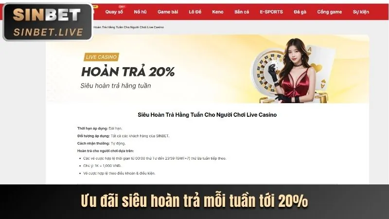 Hoàn trả hàng ngày/tuần tại fc888 bet